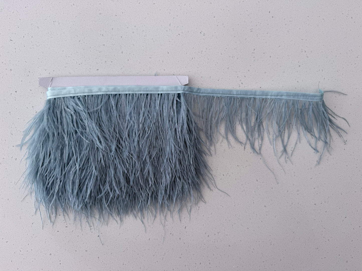 Ostrich Feather Trim