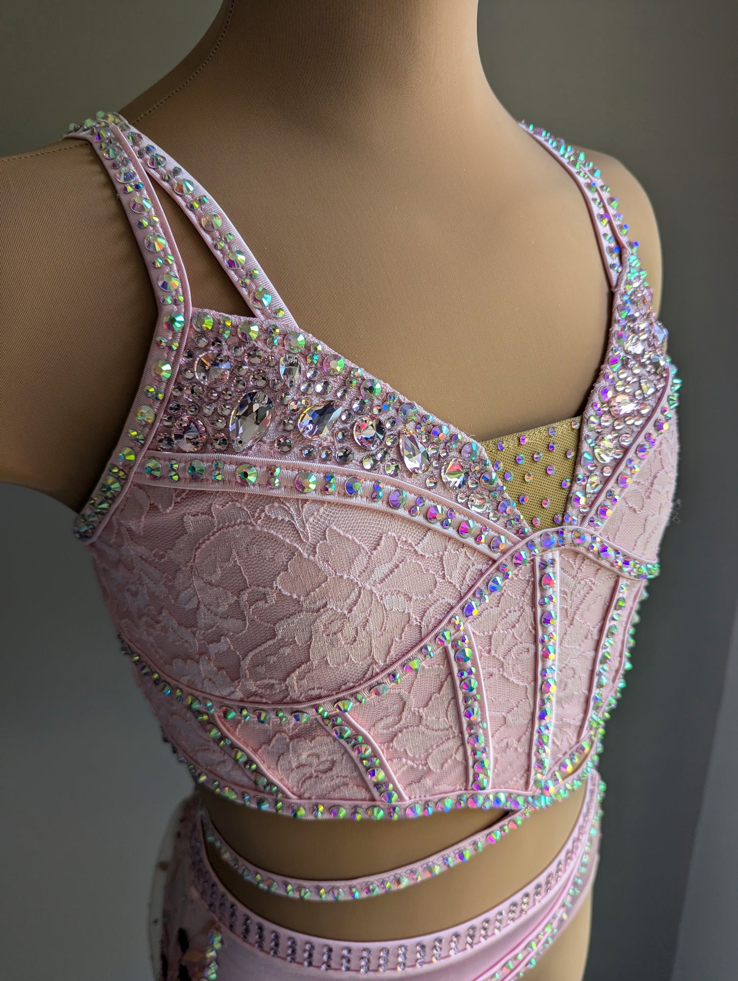 Cherish Bloom Pastel Pink Satin: Burgundy Accents - Limited Edition Costume 