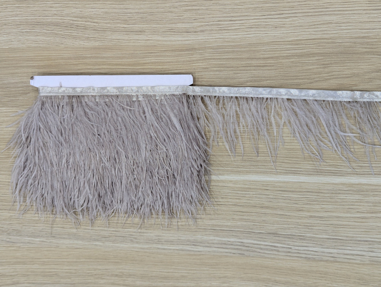 Ostrich Feather Trim Feathers